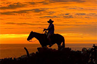 Cabo San Lucas Horseback Riding